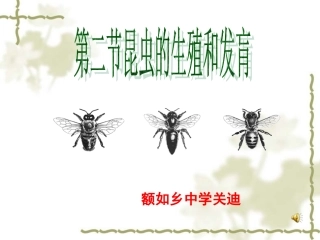 第二节昆虫的生殖和发育