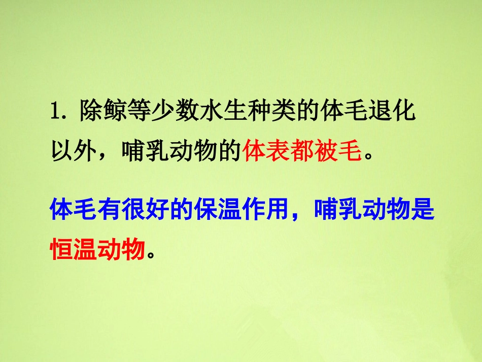 哺乳动物的共同特征_第2页