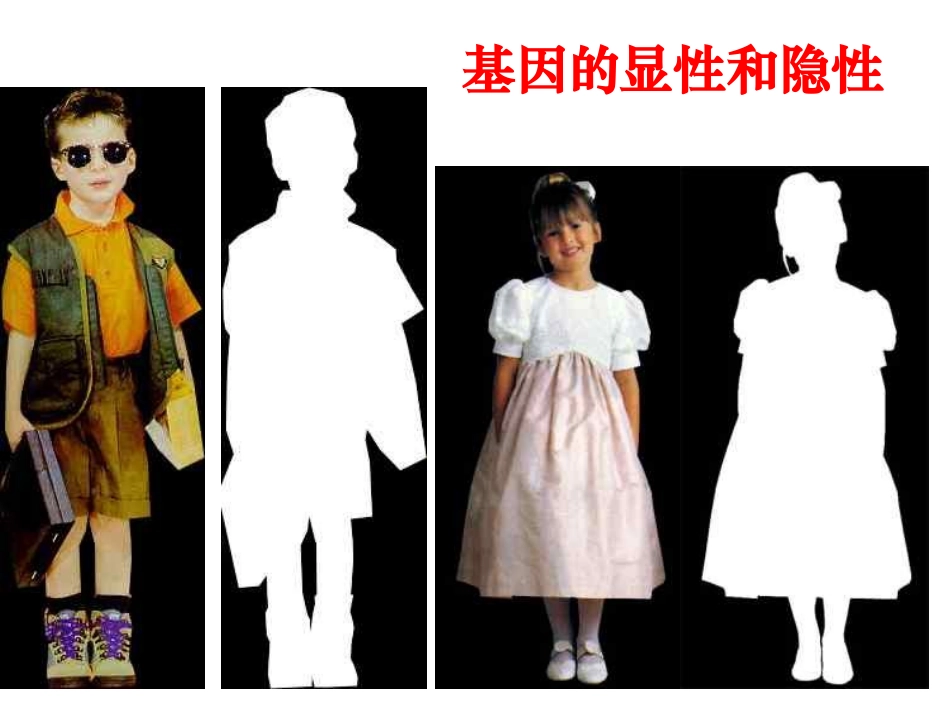 基因的显性和隐性(为您服务教育网)2_第1页