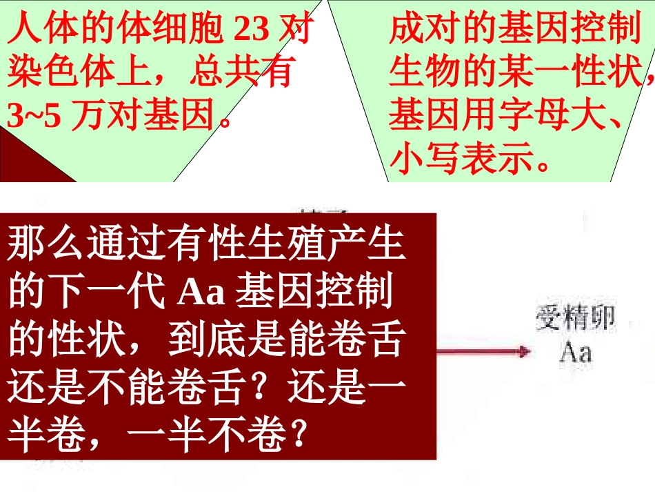 基因的显性和隐性(为您服务教育网)2_第3页