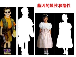 基因的显性和隐性(为您服务教育网)2