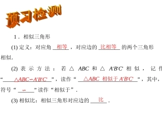 相似三角形判定(1)