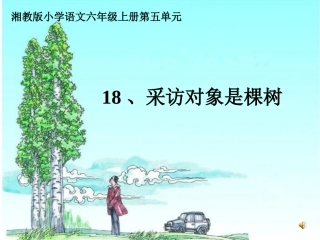 18《采访对象是棵树》ppt课件1-3