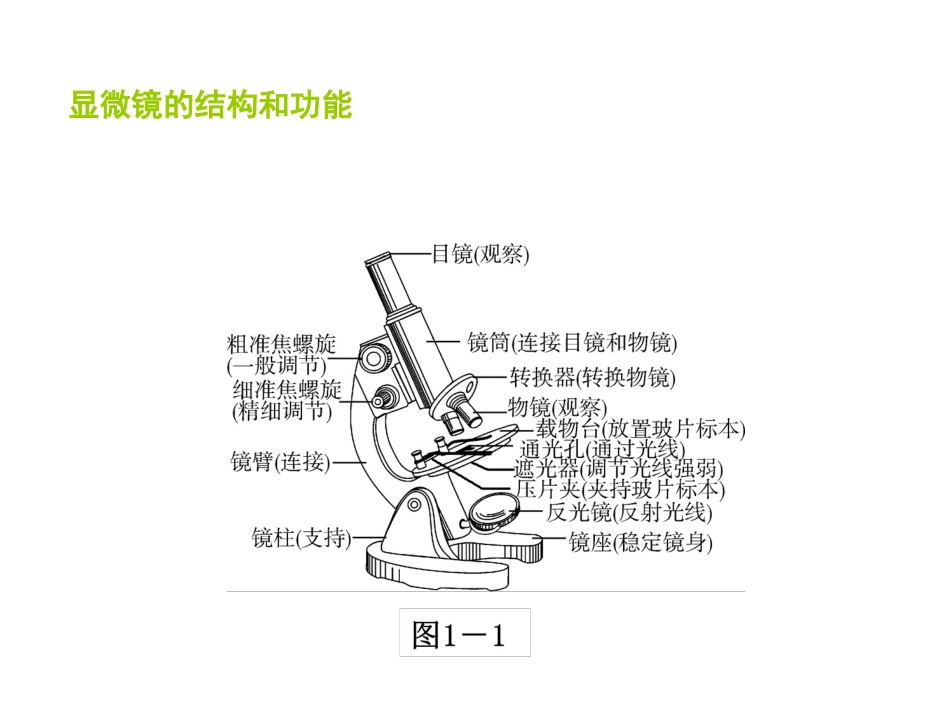 《第一节-探索生命的器具》课件_第2页