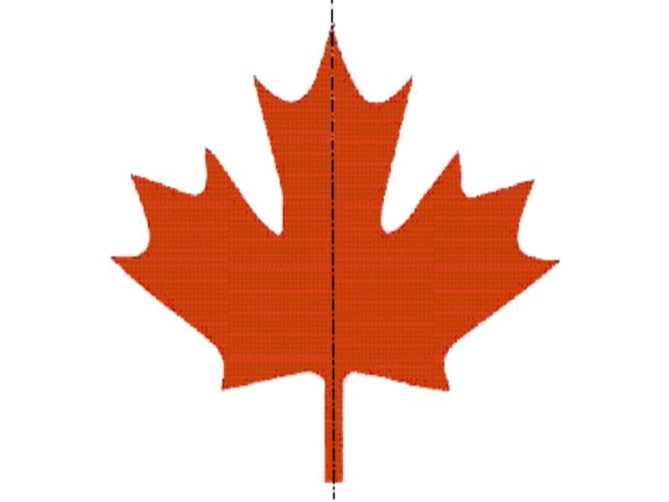 7.1轴对称现象_第1页