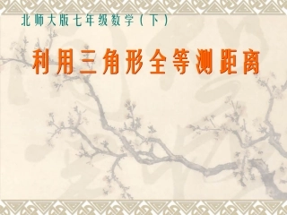 利用三角形全等测距离1