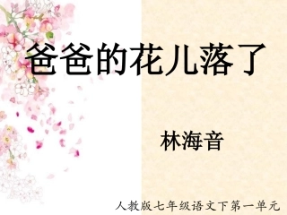 2爸爸的花儿落了课件2