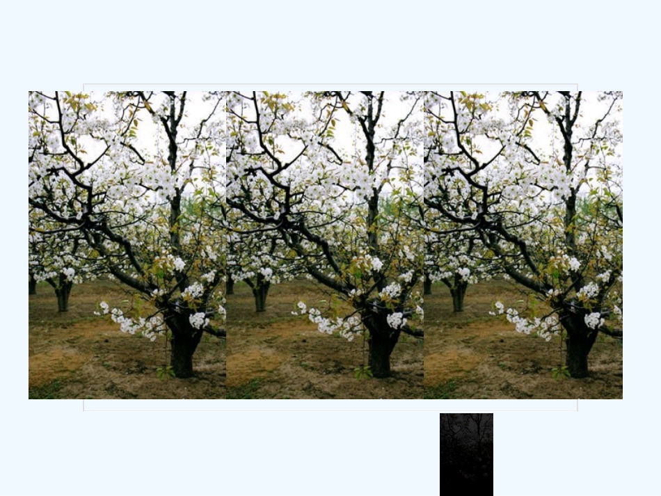 (部编)初中语文人教2011课标版七年级下册《驿路梨花》新授课PPT_第2页