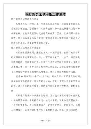 银行新员工试用期工作参考总结
