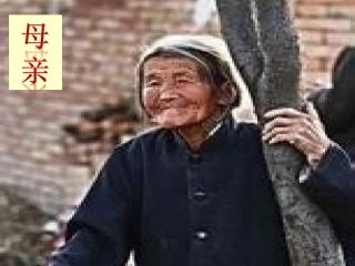 《怀念母亲》PPT