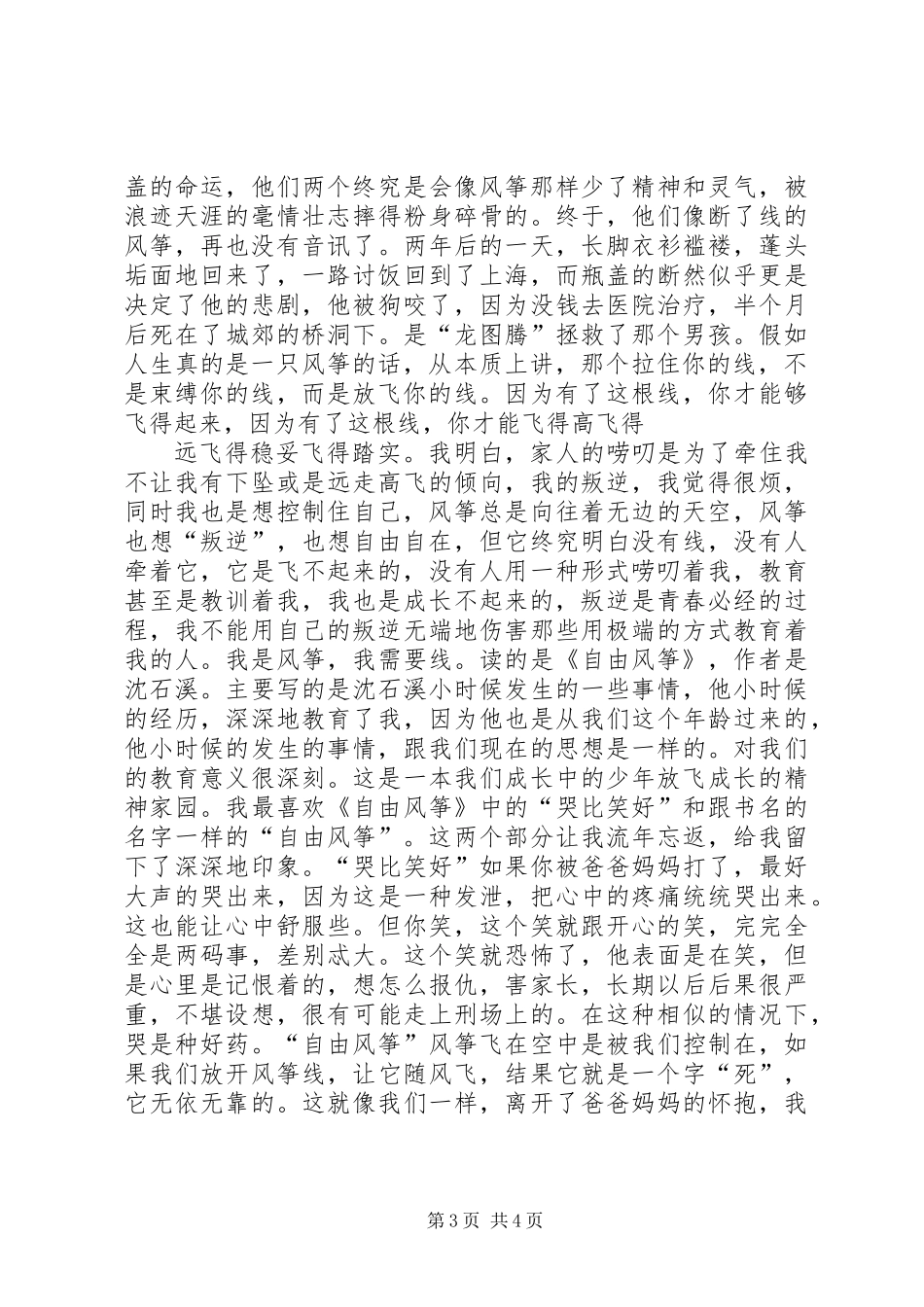 《自由风筝》读后感 (2)_第3页