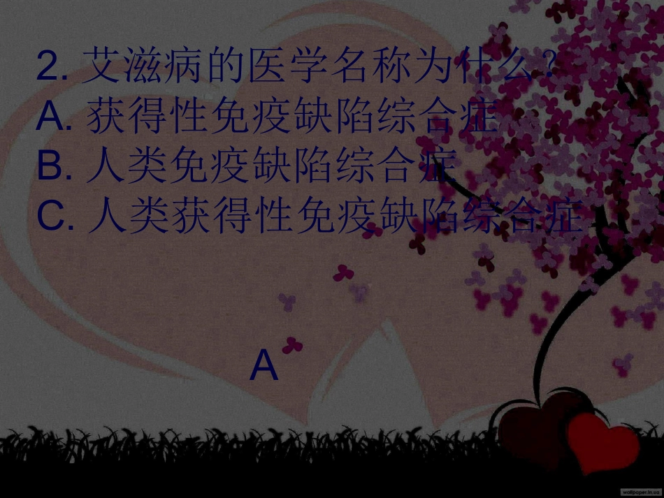 防艾宣传选择题PPT_第2页