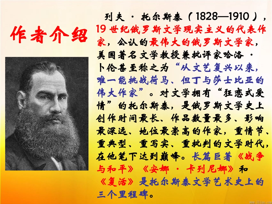 《娜塔莎》优秀课件_第2页