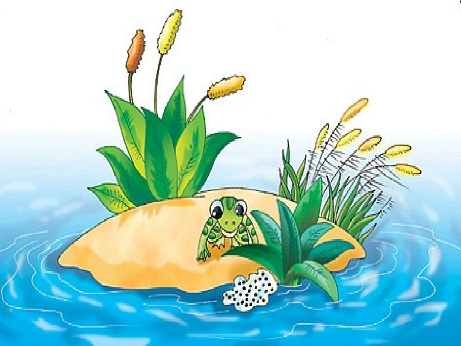 大班语言：小蝌蚪找妈妈_第2页