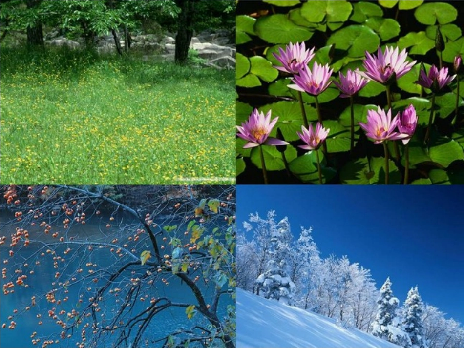 (部编)人教2011课标版一年级上册4四季_第3页