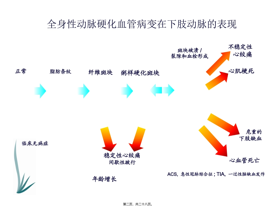 下肢动脉硬化闭塞症诊治指南_第2页
