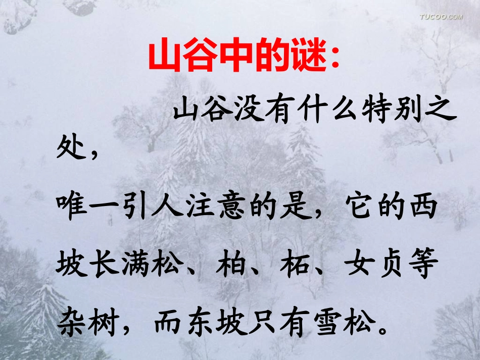 66山谷中的谜底课件_第2页