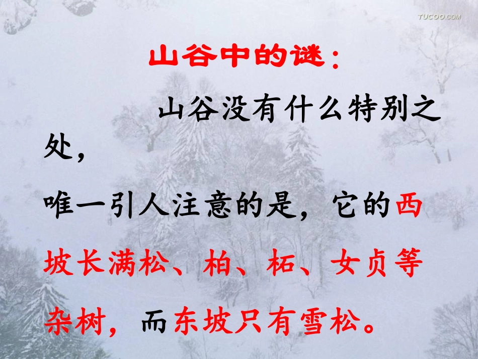66山谷中的谜底课件_第3页