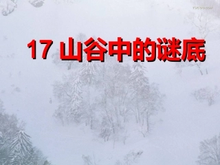 66山谷中的谜底课件