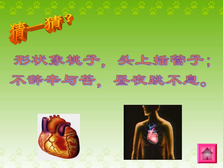 3、3、2物质运输的器官课件1_第1页