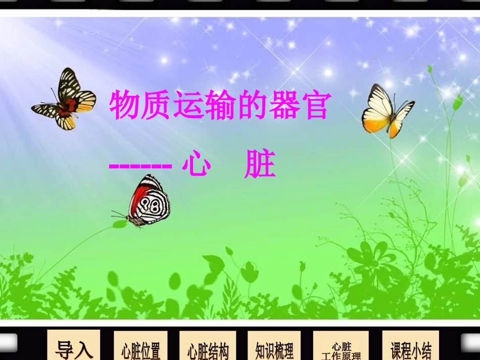 3、3、2物质运输的器官课件1_第2页