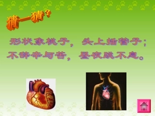 3、3、2物质运输的器官课件1