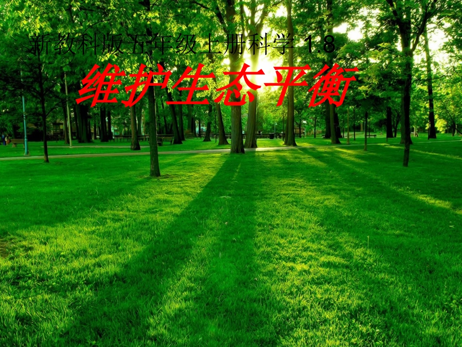 1.8维护生态平衡PPT五上_第1页