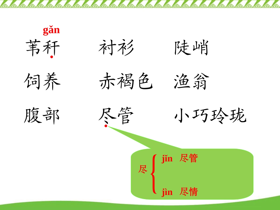 《翠鸟》模拟课堂1213_第2页