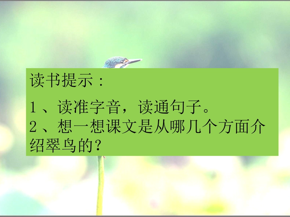 《翠鸟》模拟课堂1213_第3页