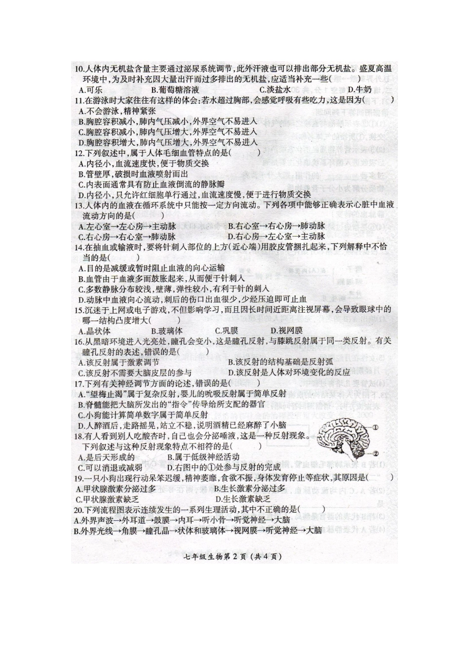 漯河市召陵区2014-2015学年七年级下学期期末生物试题及答案_第2页