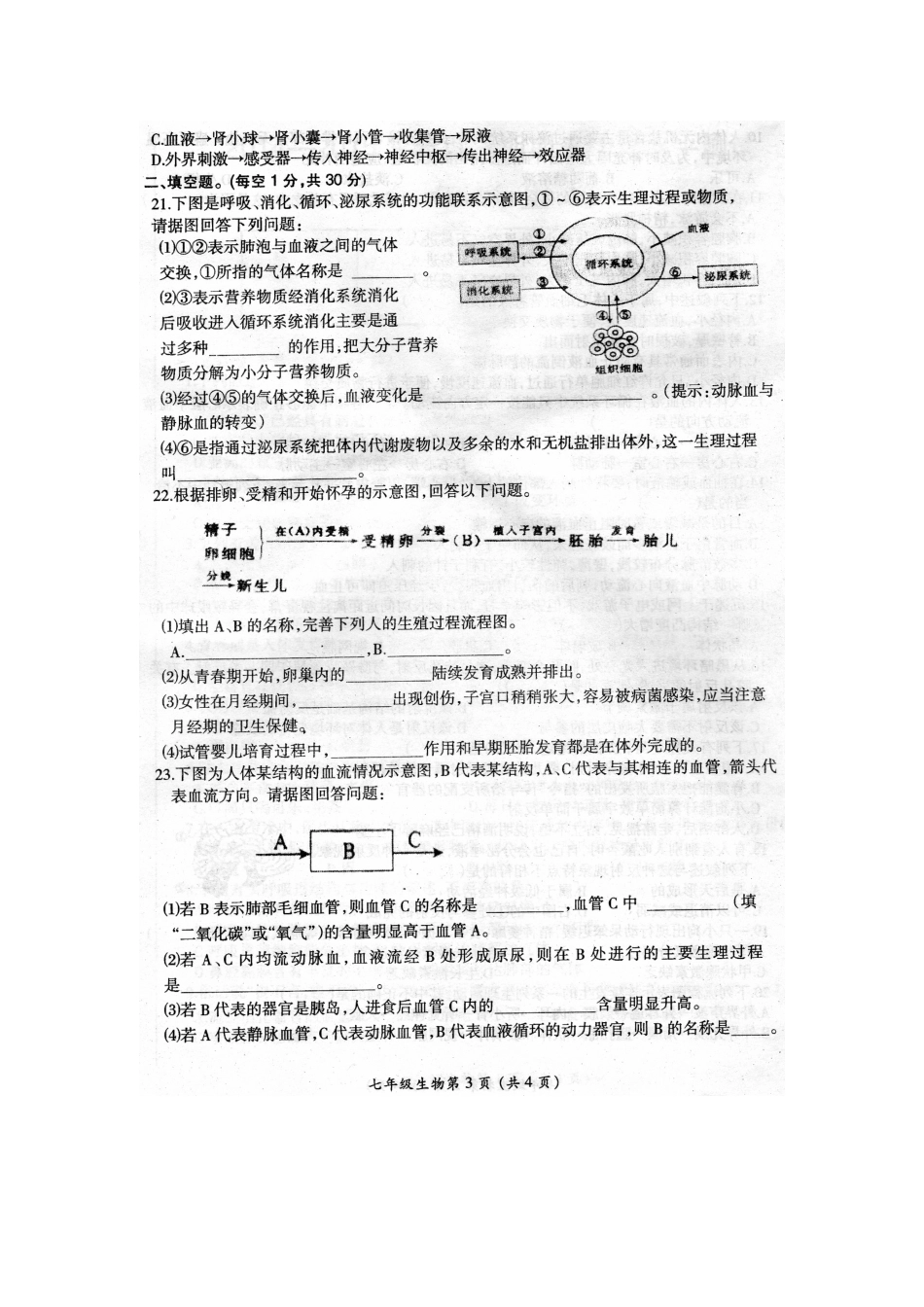 漯河市召陵区2014-2015学年七年级下学期期末生物试题及答案_第3页