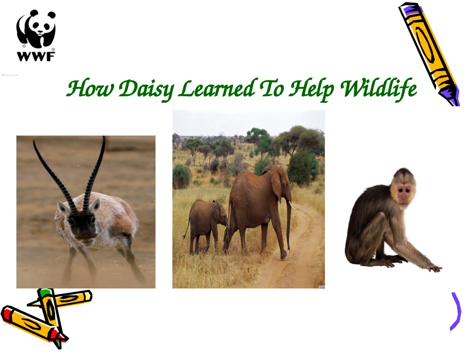 微课必修2Unit4Ms-Gao课件_第2页