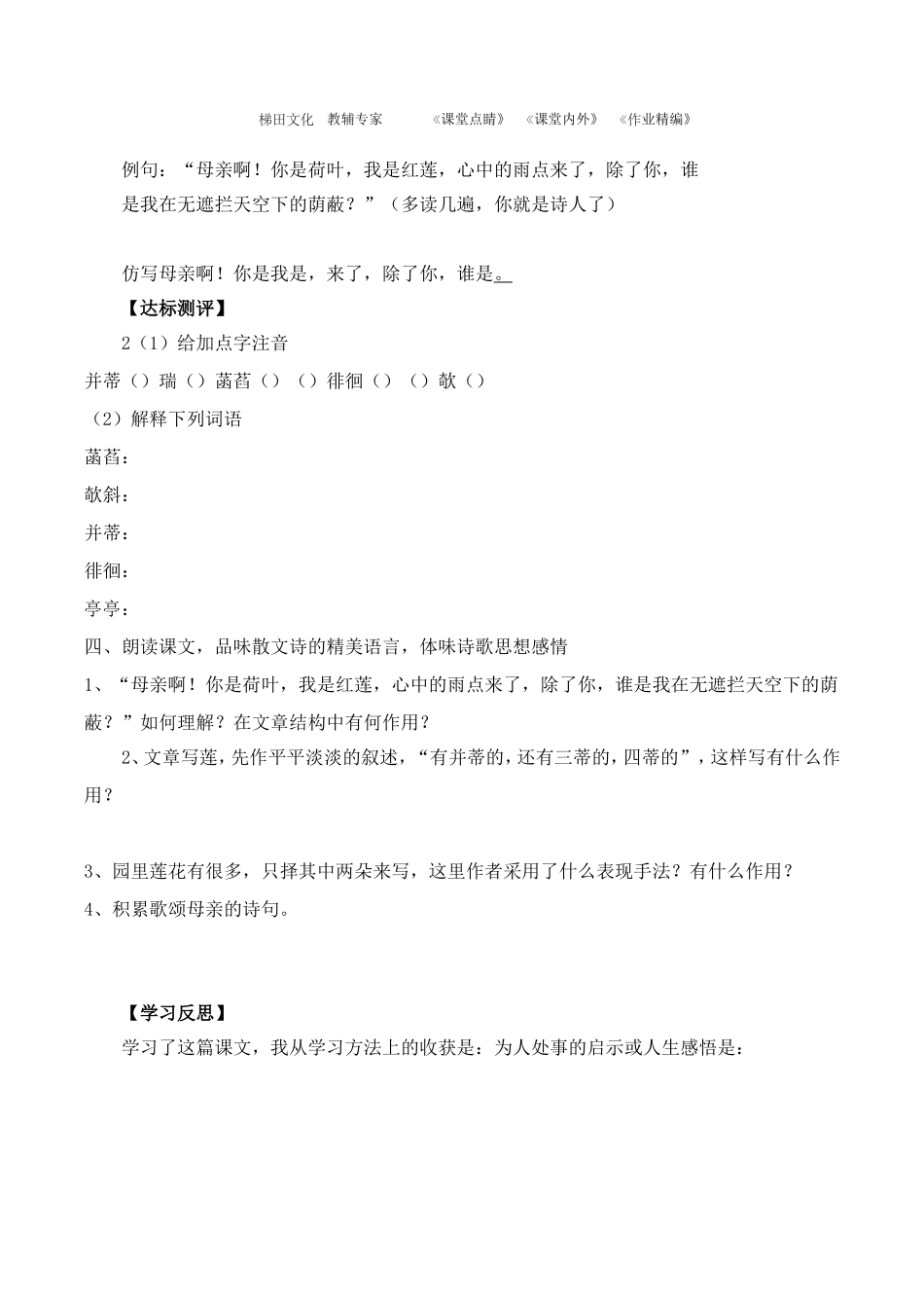 《荷叶--母亲》学案_第2页