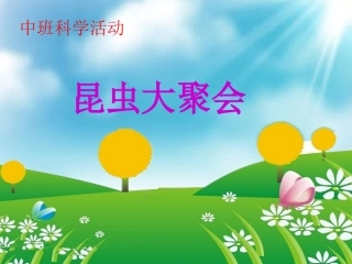 幼儿园中班上册科学小蚂蚁PPT课件