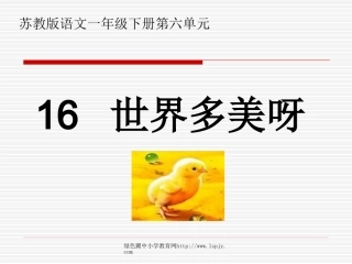 苏教版一年级下册语文《世界多美呀》课件PPT