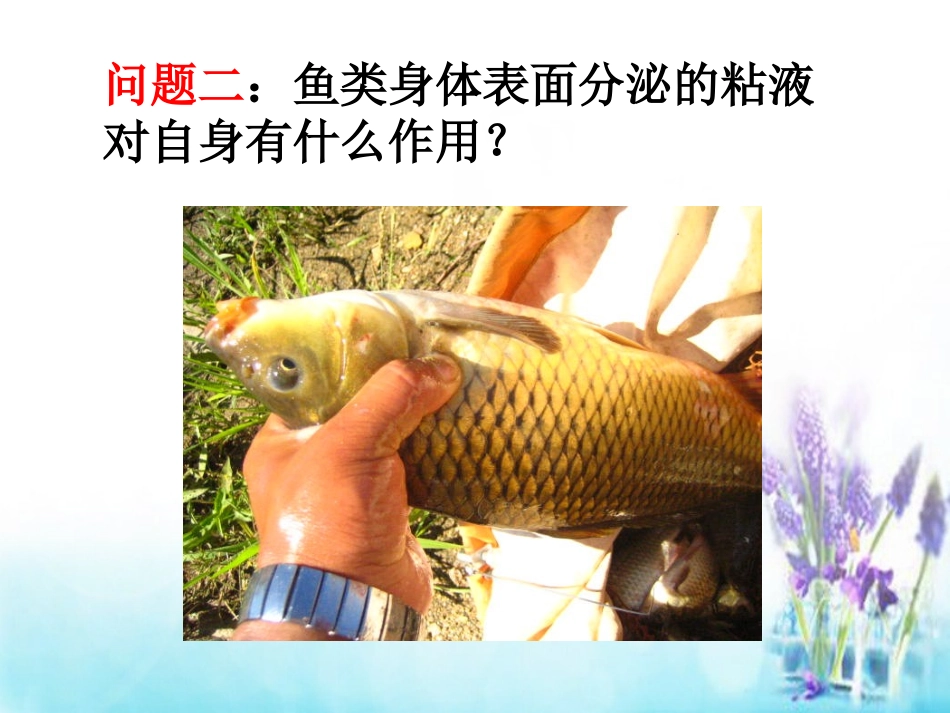 3.3-摩擦力_第2页