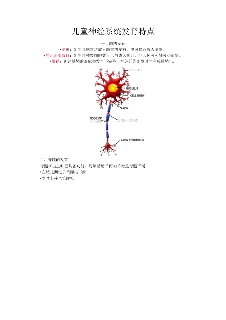 儿童神经系统发育特点_第1页
