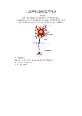 儿童神经系统发育特点