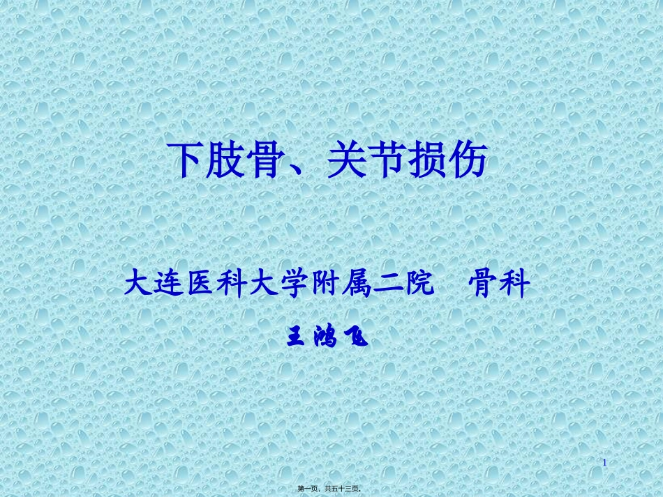下肢骨、关节损伤_第1页