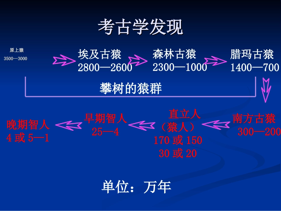 中华大地的远古人类_第3页