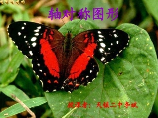 人教版8年级上册数学课件-对称图形