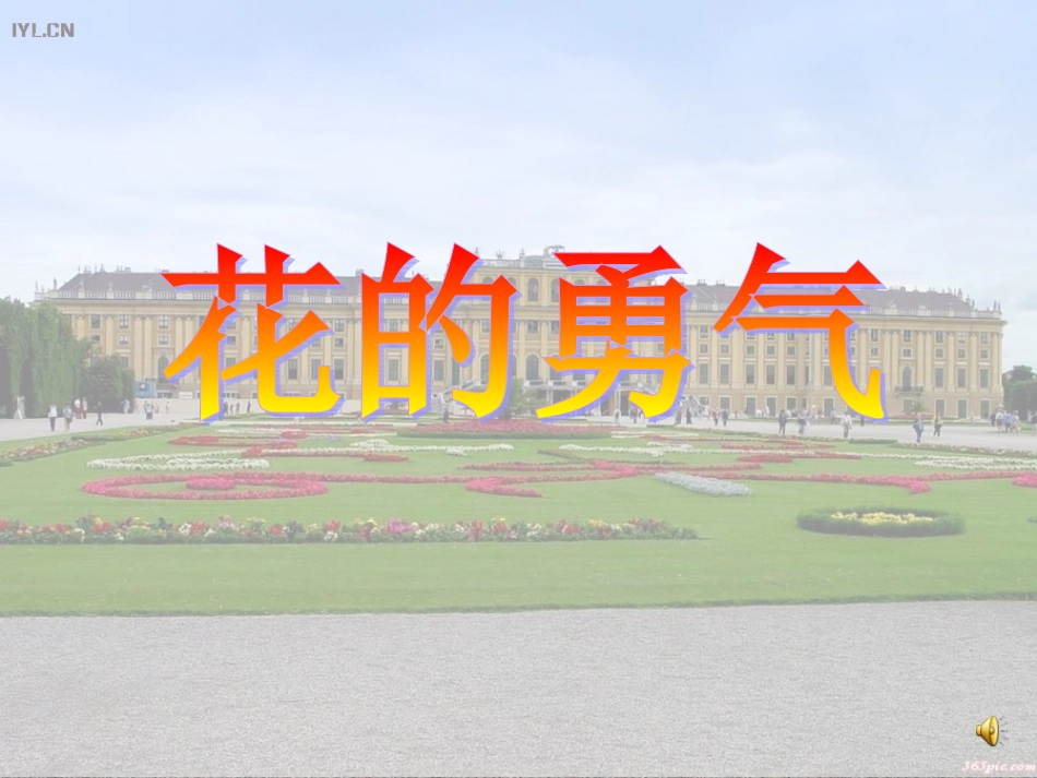 20花的勇气_第1页