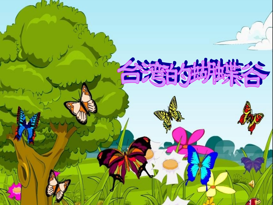 台湾的蝴蝶谷_第1页