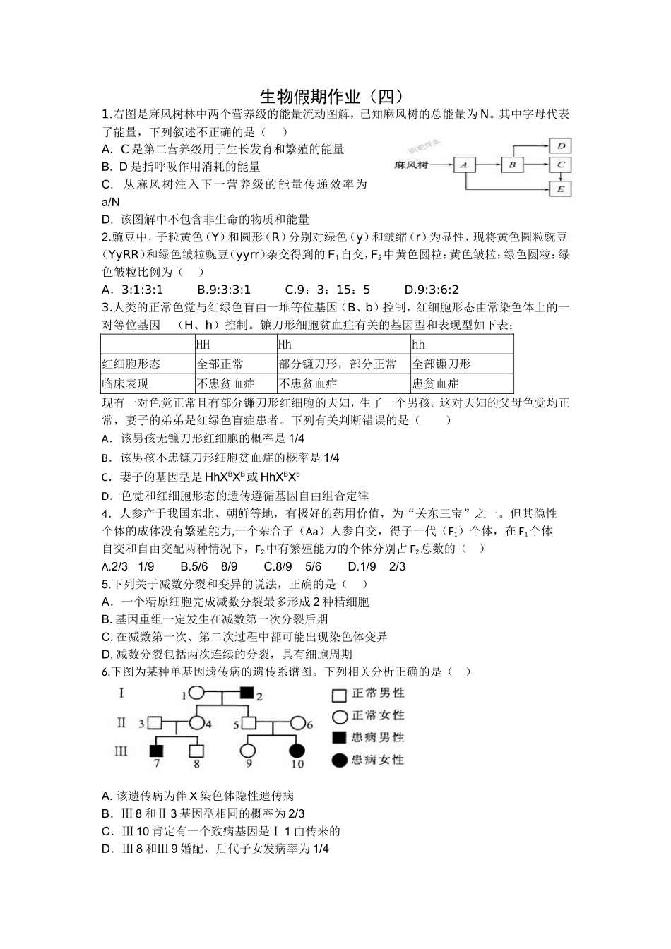 生物假期作业(四)_第1页