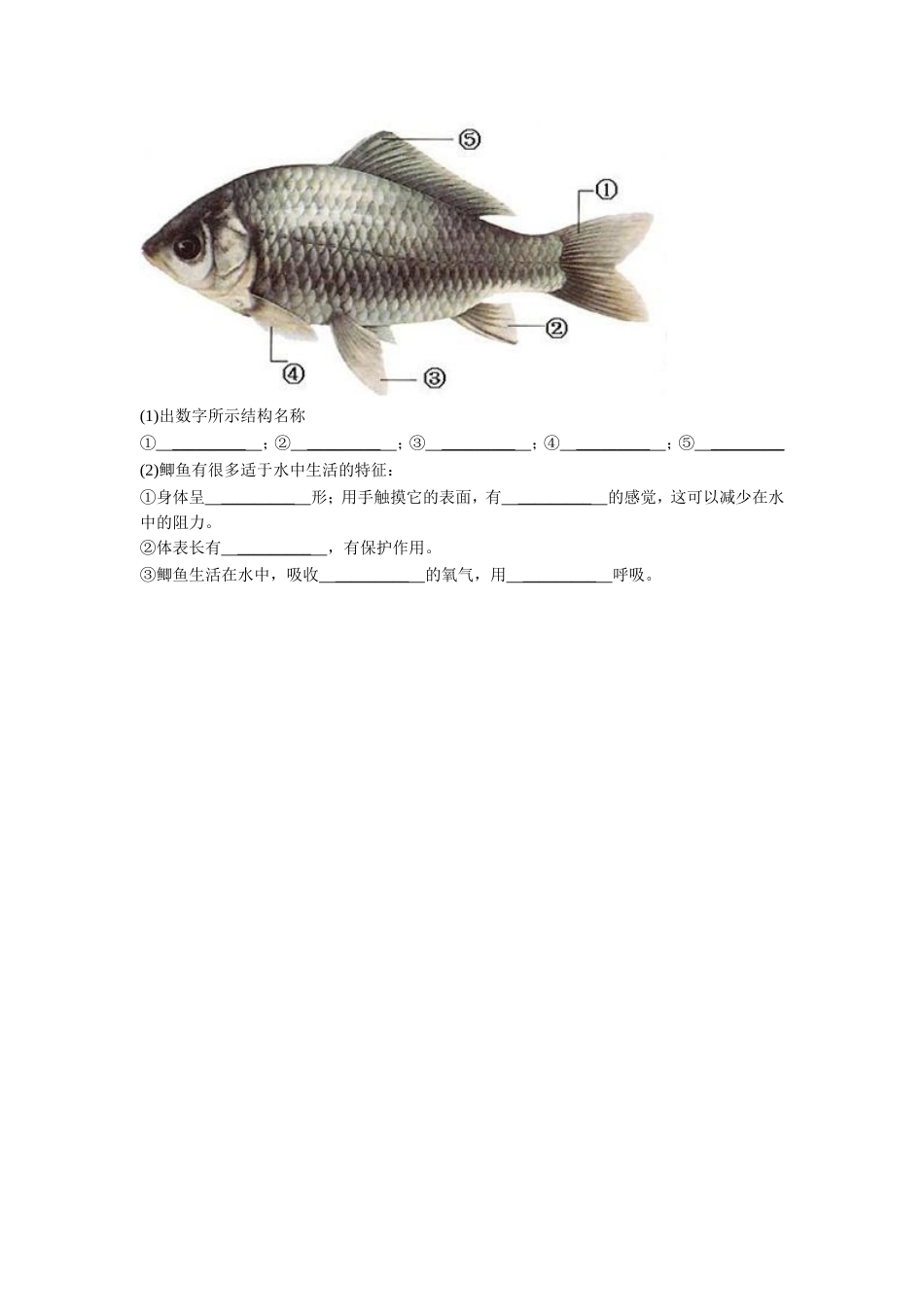 《第1节-水中的动物》同步练习3_第2页