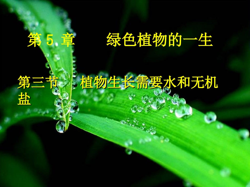 植物生长需要水和无机盐_第1页