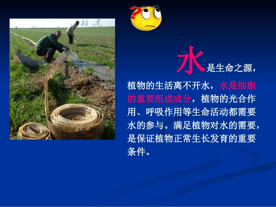 植物生长需要水和无机盐_第2页
