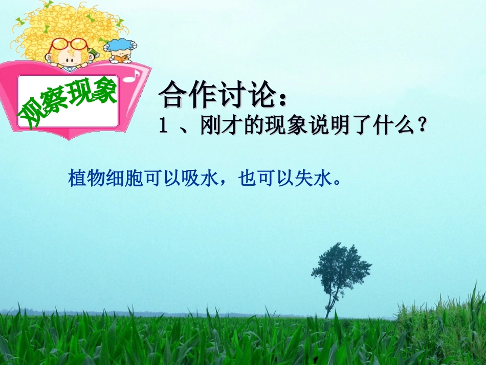 植物生长需要水和无机盐_第3页