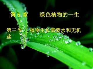 植物生长需要水和无机盐