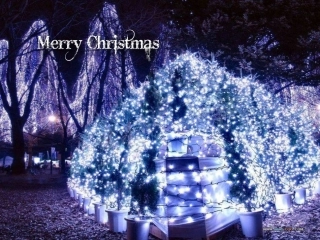 Merry-Christmas